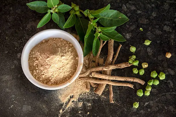 l carnitine and ashwagandha together Adrien Gagnon Ashwagandha and L-Theanine Capsules - Reduce Stress & Promote  Relaxation  Adrien Gagnon