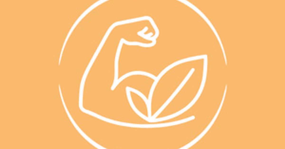 View of Vegetable protein for vegans | Purasana vegan protein powder