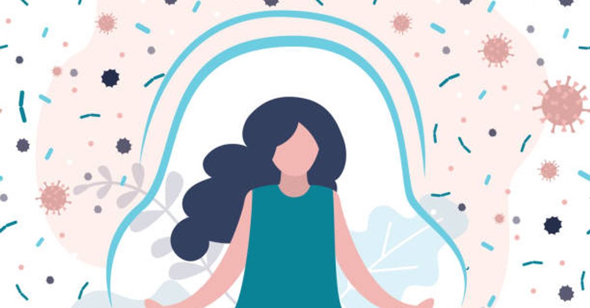 How Does the Immune System Work? Structure, Function & Facts
