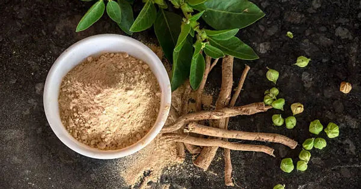 que significa l carnitina Suplementos nutricionales | La carnitina es una molécula naturalmente  presente en nuestro cuerpo y que se encuentra principalmente en los  músculos, siendo su forma
