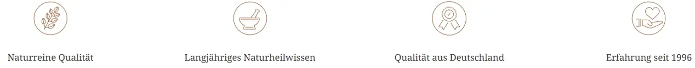 Icon Text Section