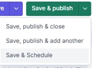 Save, Publish & Schedule